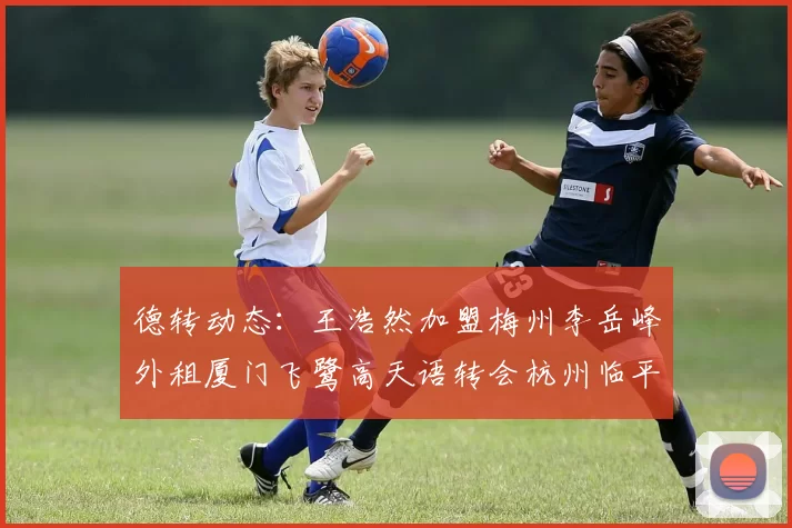 德转动态：王浩然加盟梅州李岳峰外租厦门飞鹭高天语转会杭州临平吴越
